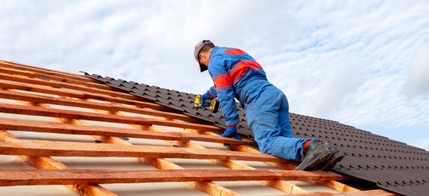 Best Roof Insulation Installation  in USA